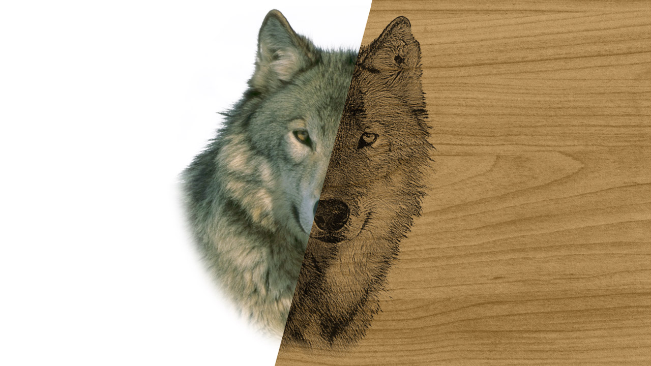 Advanced Material Simulation